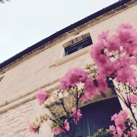 Frontemaja Bed & Breakfast 3*