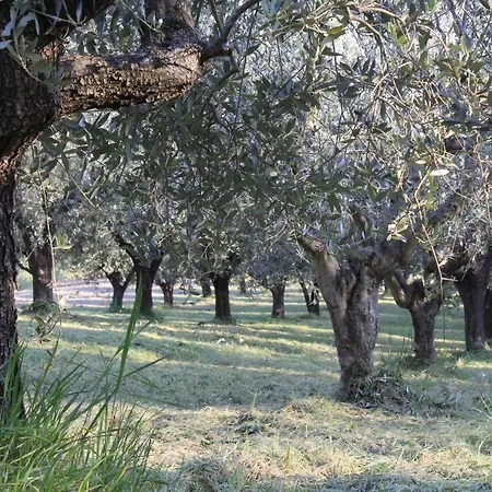 Frontemaja Alojamento de Acomodação e Pequeno-almoço 3*