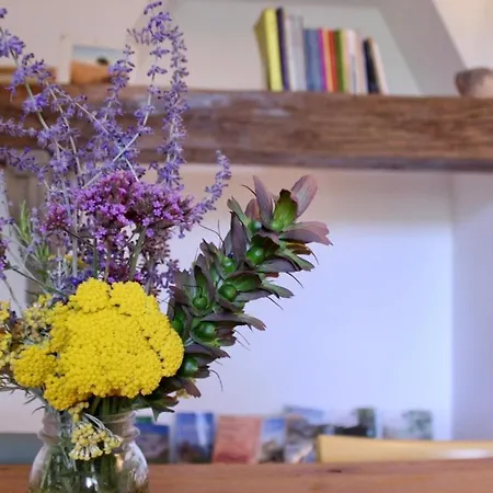 Alojamento de Acomodação e Pequeno-almoço Frontemaja 3*