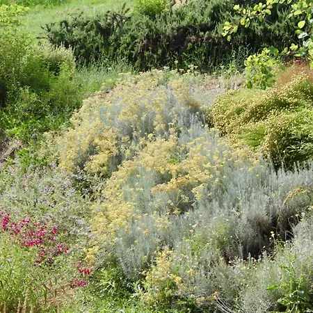 Frontemaja Alojamento de Acomodação e Pequeno-almoço 3*