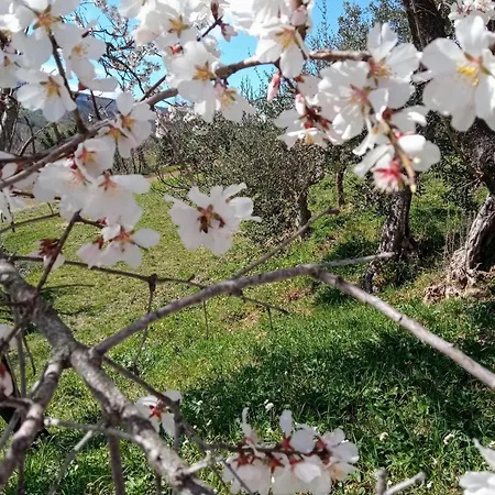 Bed & Breakfast Frontemaja Fara Filiorum Petri
