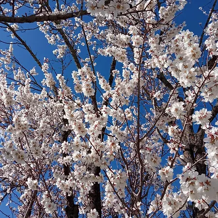 Frontemaja Bed & Breakfast