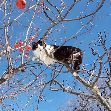 Frontemaja Bed & Breakfast Fara Filiorum Petri