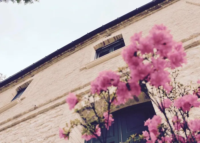 Frontemaja Bed & Breakfast 3*