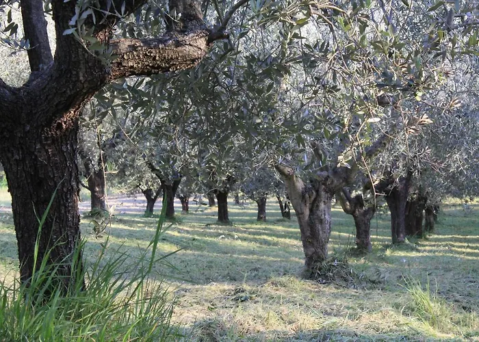 Frontemaja Bed and Breakfast 3*