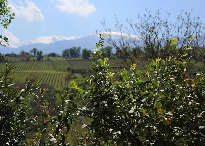 Bed & Breakfast Frontemaja Fara Filiorum Petri