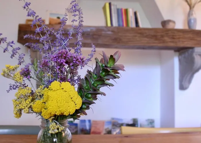 Bed & Breakfast Frontemaja 3*