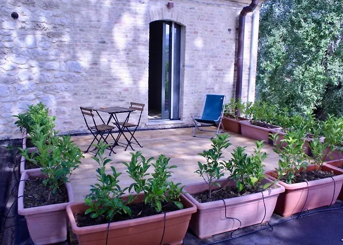 Frontemaja Fara Filiorum Petri