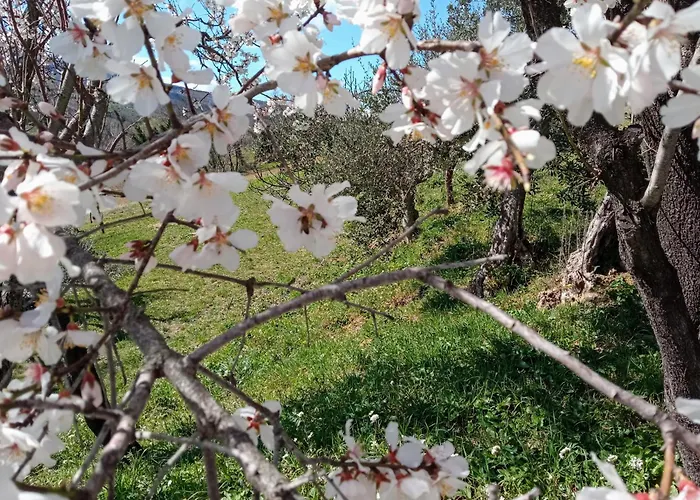 Bed & Breakfast Frontemaja Fara Filiorum Petri