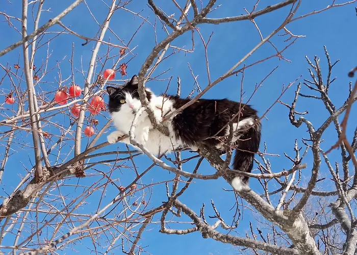 Frontemaja Bed & Breakfast Fara Filiorum Petri